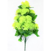 Букет гвоздик БС005лайм