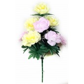 Букет пионов и роз БС055мол/бел-роз