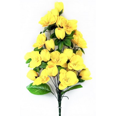 Букет тюльпанов и орхидей БС062ж-0