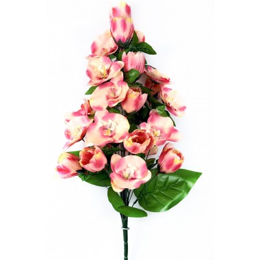 Букет тюльпанов и орхидей БС062крем-0