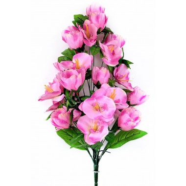 Букет тюльпанов и орхидей БС062роз-0