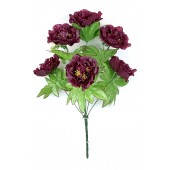 Букет пионов с добавками БС090бордо