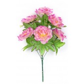 Букет пионов с добавками БС090мал-крем