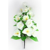 Букет роз и орхидей БС103мол