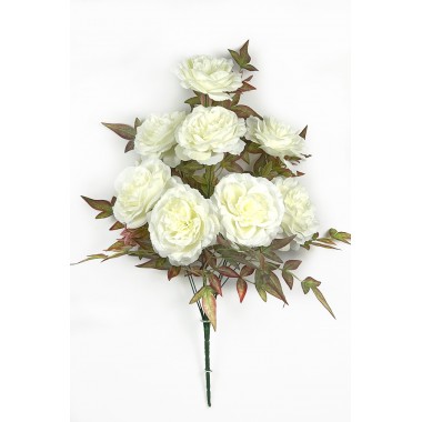  Букет пионовидных роз БС115мол-0