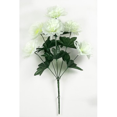 Букет гвоздик БС148мол-0