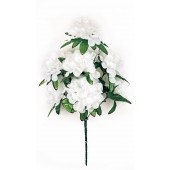 Букет георгин шаровидных БС168б