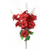 Букет гладиолусов, СН02к