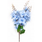 Букет гладиолусов, СН02гол