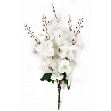 Букет гладиолусов, СН02мол-0