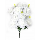 Букет гвоздик, СН13мол