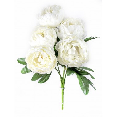 Букет пионов, СН14мол-0