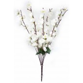 Букет сакуры, СН24б