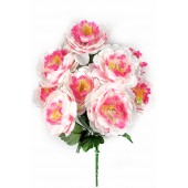 Букет пионов, СН30бел-мал