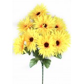 Букет астр, СН40ж