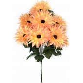 Букет астр, СН40персиковый