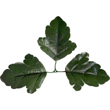 Лист хризантемы тройной ЗК032тем-зел-0