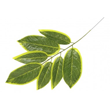 Ветка манго 7 листьев ЗК064-0