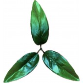 Лист лилии 3 лепестка ЗК049-1з 