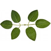 Лист розы 6 лепестков ЗК003-1принт Лист розы 6 лепестков ЗК003-1принт