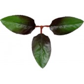 Лист розы три лепестка ЗК034градиент