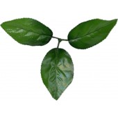 Лист розы 3 лепестка, ЗК035з 