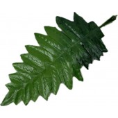 Лист папоротника, ЗК043з 