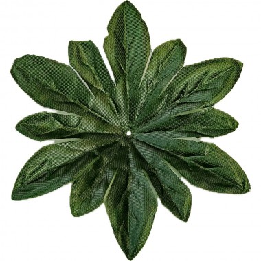 Лист-розетка ЗК094тем-зел-0