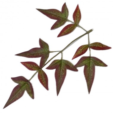 Ветка пиона флористическая ЗК096к-0