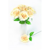 Цветок одиночный пионовидной розы ЦС145пудровый