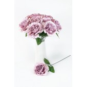Цветок одиночный пионовидной розы ЦС145пыльная роза