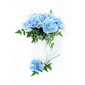 Пион одиночный ЦС201голубой