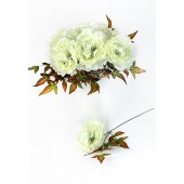 Пион одиночный ЦС201мол