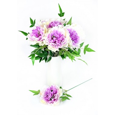 Пион одиночный ЦС201мол-сирень-0