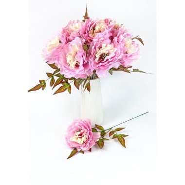 Пион одиночный ЦС201роз-0