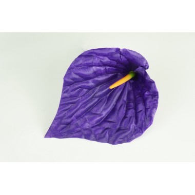 Антуриум атласный ГК029чернильный-0