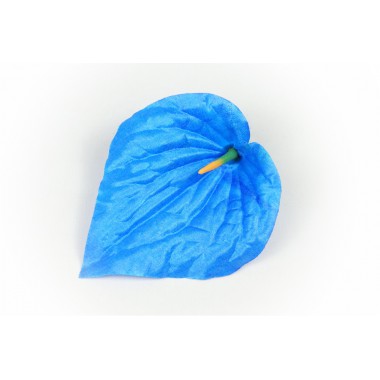 Антуриум атласный ГК029с-0