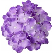 Голова гортензии ГК031ф
