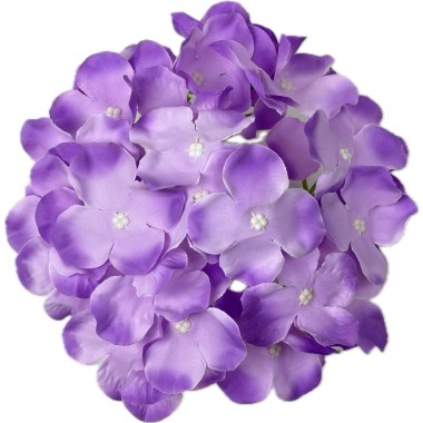 Голова гортензии ГК031ф-0