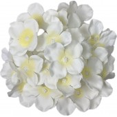 Голова гортензии ГК031мол