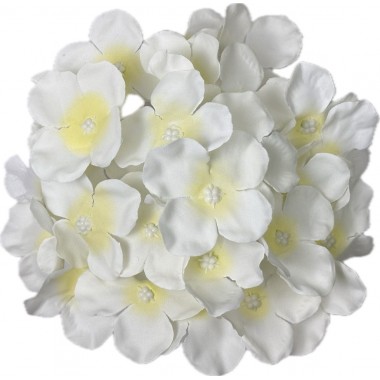 Голова гортензии ГК031мол-0