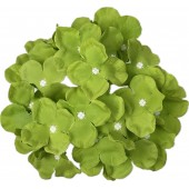 Голова гортензии ГК031зел