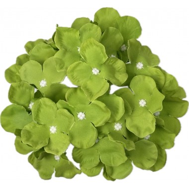 Голова гортензии ГК031зел-0