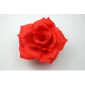 Роза остролистная ГК072к