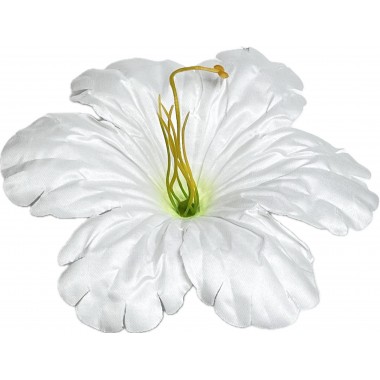 Клематис атласный ГК064-1б-0