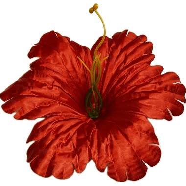 Клематис атласный ГК064-1к-0