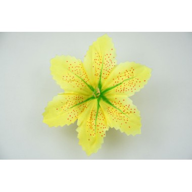 Лилия тигровая ГК069ж-0