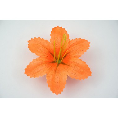 Лилия тигровая ГК069о-0