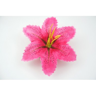 Лилия тигровая ГК069м-0