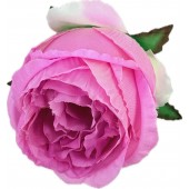 Роза пионовидная шелк "Джульетта", 10слоев ГК083роз